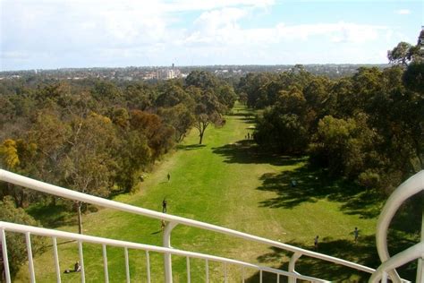 Kings Park's much-loved DNA tower to reopen after refresh - ABC News