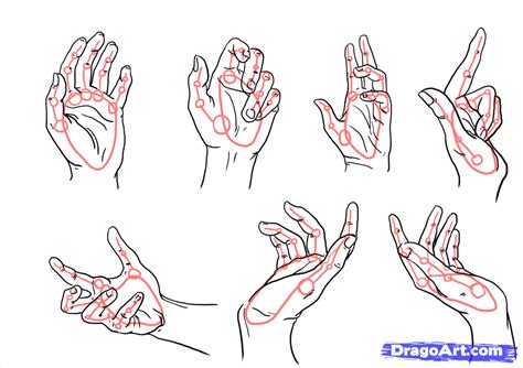 How to Draw Hands, Step by Step, Hands, People, FREE Online Drawing ...