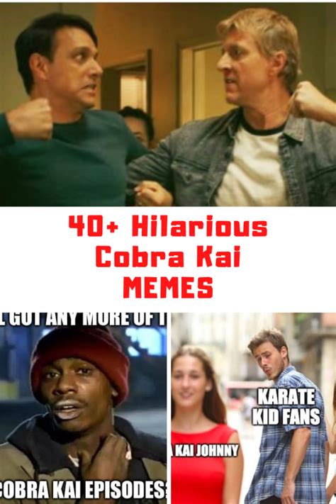 40+ Hilarious COBRA KAI Memes - Guide For Geek Moms