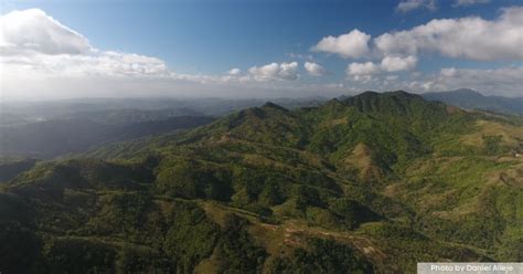 SIERRA MADRE: THE PHILIPPINES’ NATURAL BARRIER AGAINST TYPHOONS ...