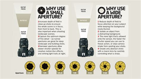 Cheat sheet: Wide vs narrow aperture and which is best for when ...