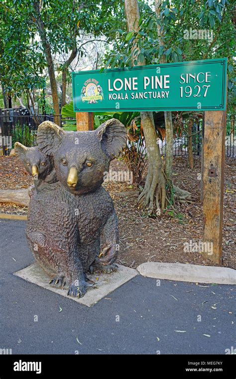 The Lone Pine Koala Sanctuary, the oldest and largest koala sanctuary ...