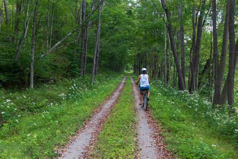 11 Fantastic Rail Trails in Pennsylvania that Anyone Can Enjoy ...