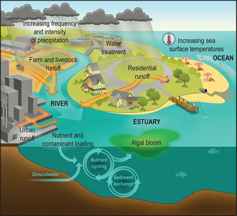 National Institute of Environmental Health Sciences: Water-related ...