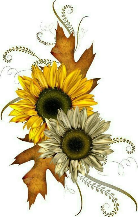 gele en witte zonnen bloemen (With images) | Fall clip art, Autumn ...