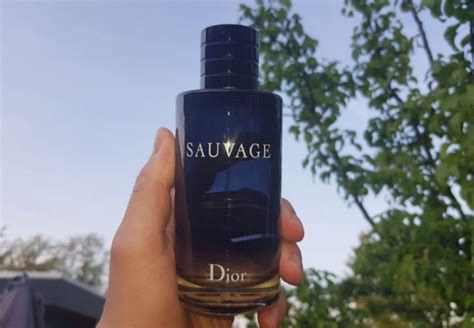 What Are The Best Dior Sauvage Clones