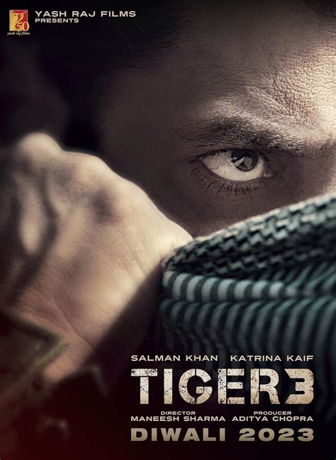 Tiger 3 (2023)