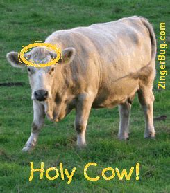 Holy Cow Funny Glitter Graphic Glitter Graphic, Greeting, Comment, Meme ...