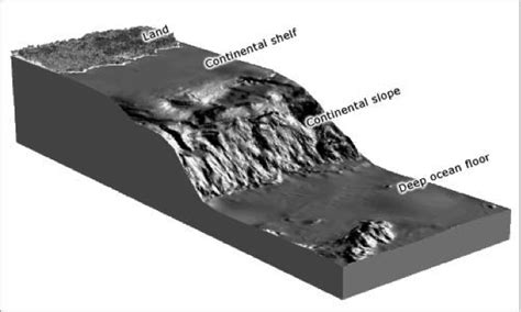 Bathymetry | Ocean Tracks