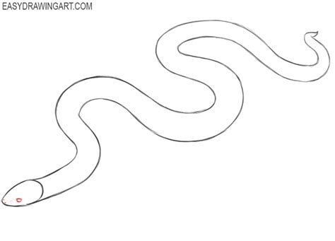 How to Draw a Snake - Easy Drawing Art