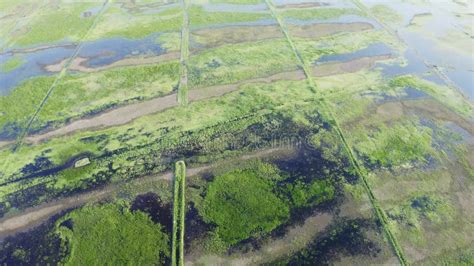 The Marshy, Flooded Area. it is a Unique Ecosystem, Rich in Flora and ...