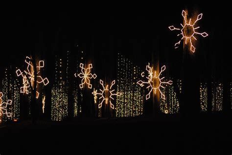 Callaway Gardens Georgia Christmas Lights - Beautiful Insanity