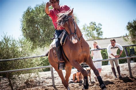 THE LAST VAQUERO ”The Real Cowboy – by One of Them” - Equilife World