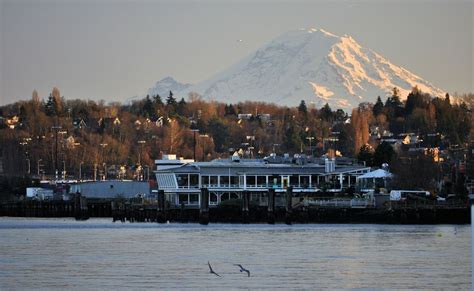 Pin by Doug Harrington on Seattle - A Visitors Guide to the Emerald ...