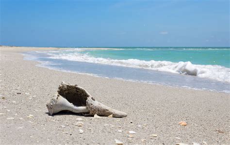 Explore Cayo Costa State Park on Your Sanibel Island Stay