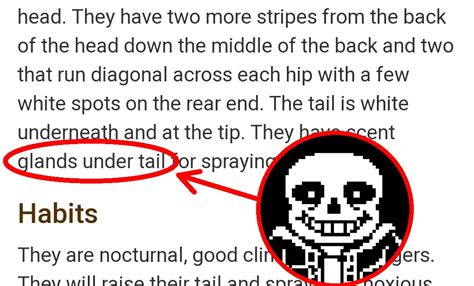 Sans Undertale Glands Under Tail (meme) | Name Soundalikes | Know Your Meme