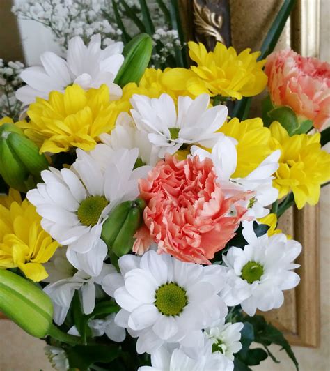 Review | Home Bargains Flowers*