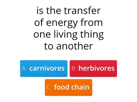 Food Chain game - Quiz