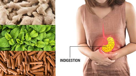 10 Natural Remedies To Help Beat Indigestion | 6 Minute Read