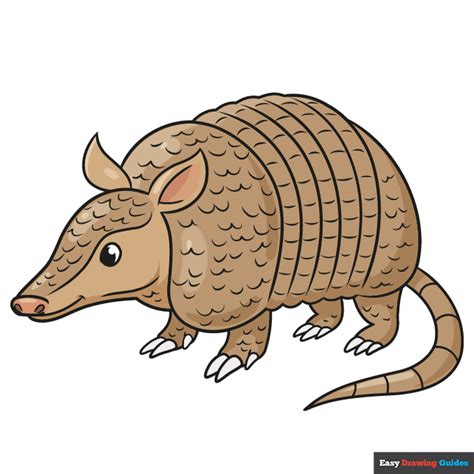 Armadillo Draw