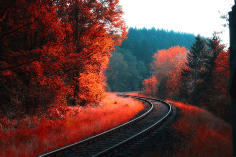 Railway Autumn Forest Wallpaper,HD Nature Wallpapers,4k Wallpapers ...