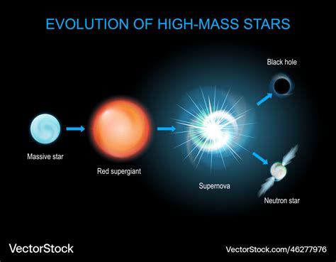 Evolution of high-mass stars Royalty Free Vector Image