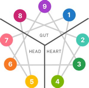 Enneagram Triads: The Centers Of Intelligence Explained