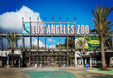 The L.A. Zoo Reopens Today, Here's What You Need To Know