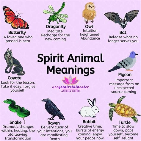 PSYCHIC ANIMALS MEANING | Spirit animal meaning, Animal meanings ...