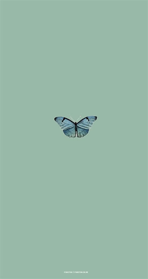 15 Sage Green Minimalist Wallpapers for Phone : A Butterfly I Take You ...