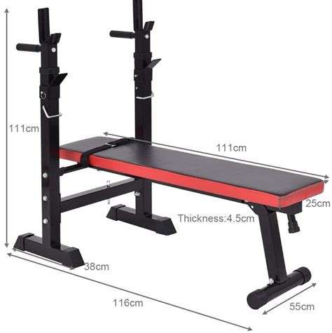 5 Weight Benches for Strength Training Success