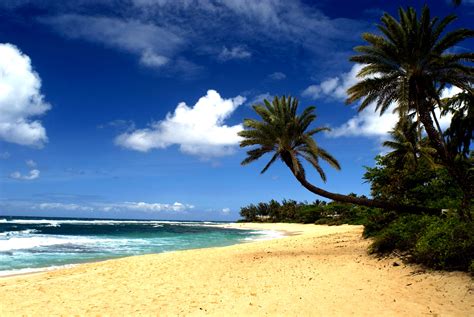 Hawaii Beaches Wallpaper - WallpaperSafari