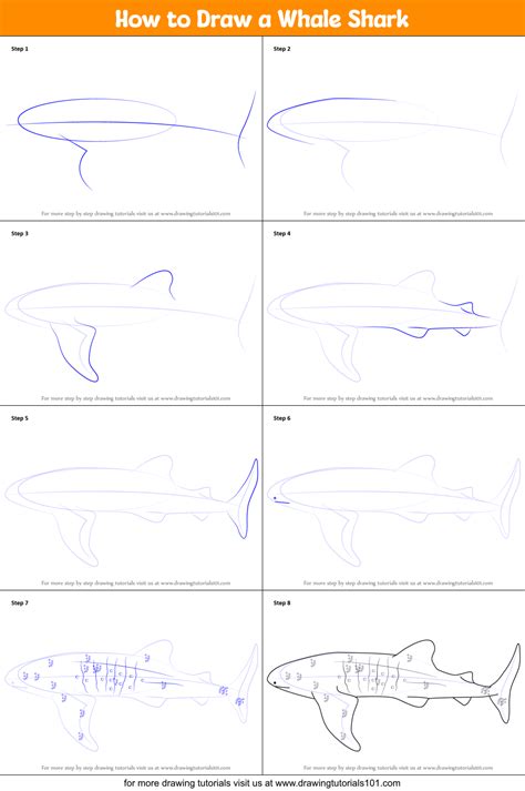 How to Draw a Whale Shark printable step by step drawing sheet ...