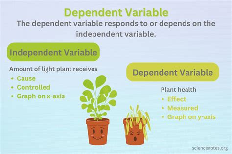 Independent Variable Dependent Variable Math