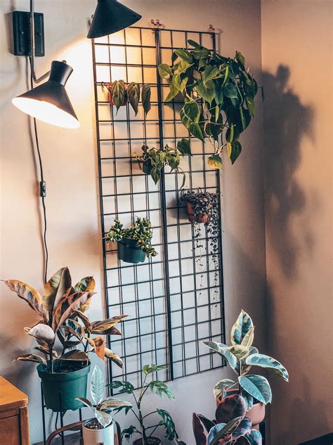 DIY Plant wall was a success : houseplants