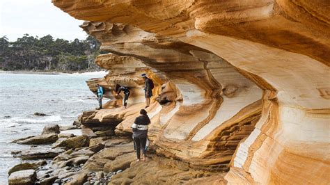 Tasmania's Maria Island: A sustainable eBike adventure | Adventure.com