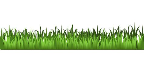 Free Grass Border Cliparts, Download Free Grass Border Cliparts png ...