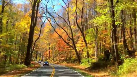 Gatlinburg Fall Foliage - YouTube