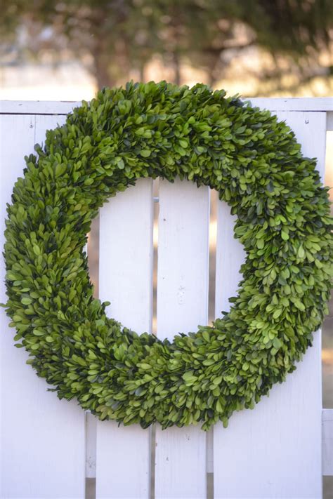 Extra-Large Preserved Boxwood Wreath | The Blaithin Blair Shop