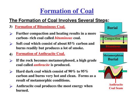 PPT - Formation of Coal PowerPoint Presentation, free download - ID:2714541