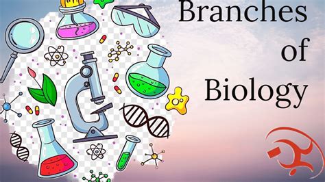 Branches of Biology