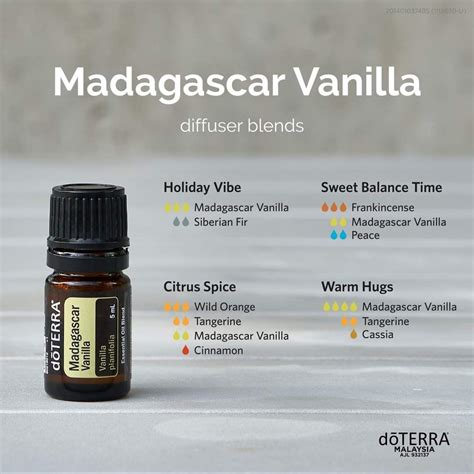 Madagascar Vanilla Diffuser Blends in 2022 | Essential oil candle ...