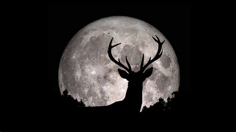 July 2023 full moon: Supermoon, buck moon coming this holiday weekend