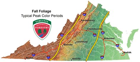 Fall Color and Foliage Guide 2024 - Blue Ridge Mountain Life