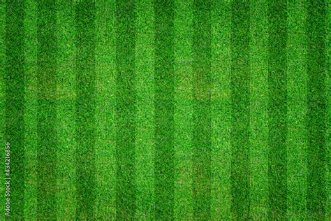 Green lawn soccer, football field. Striped grass texture for sport ...