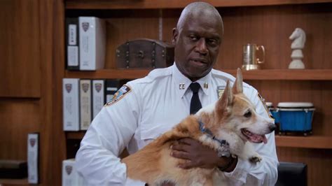 'Brooklyn Nine-Nine's Stewart the Corgi Dies — Our 3 Favorite Holt ...