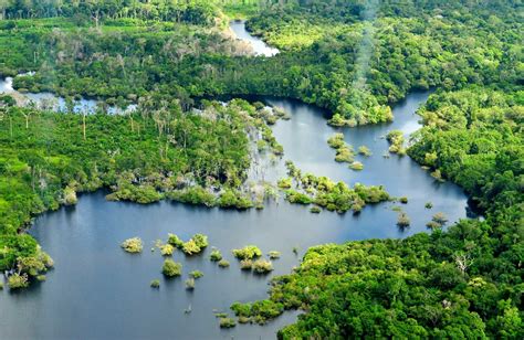 Imperiled Amazon freshwater ecosystems urgently need basin-wide study ...