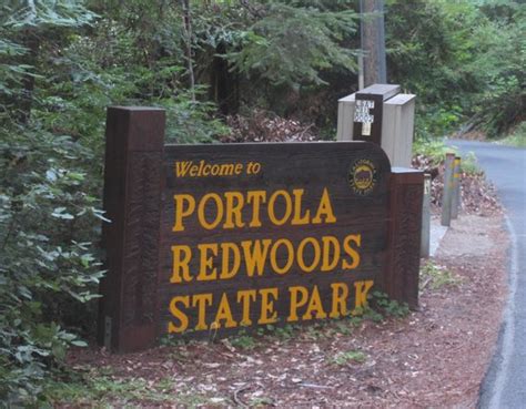 Portola Redwoods State Park, La Honda, CA - California Beaches