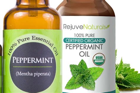 Peppermint oil and hair loss