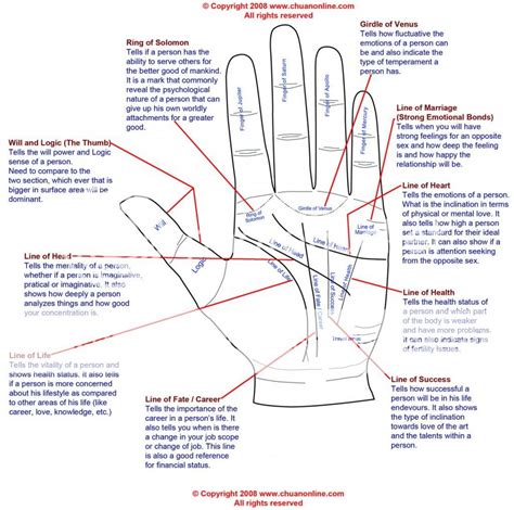 Uncover Palmistry Lines Meaning Now Easily!: Uncover Palmistry Lines ...